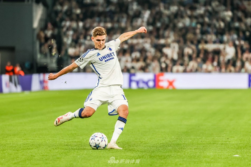 是灰熊在西 是灰熊在西